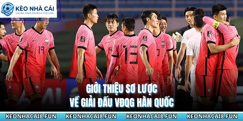 VĐQG Hàn Quốc 27 Giới thiệu sơ lược về giải đấu VĐQG Hàn Quốc