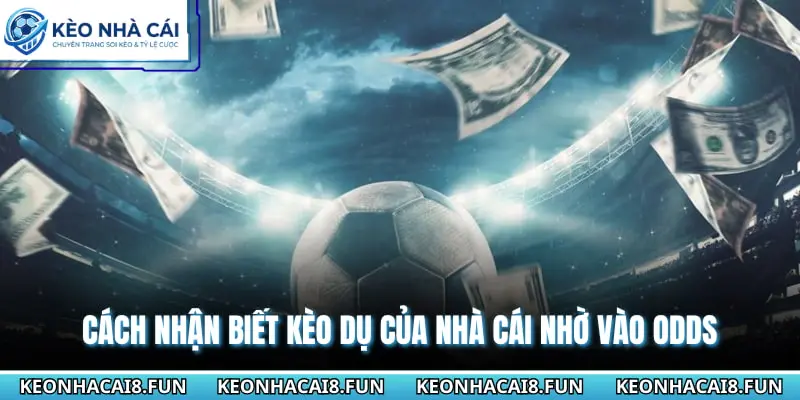 Cách Nhận Biết Kèo Dụ Của Nhà Cái Để Tránh Mất Tiền 2026 1 Cách nhận biết kèo dụ của nhà cái nhờ vào odds