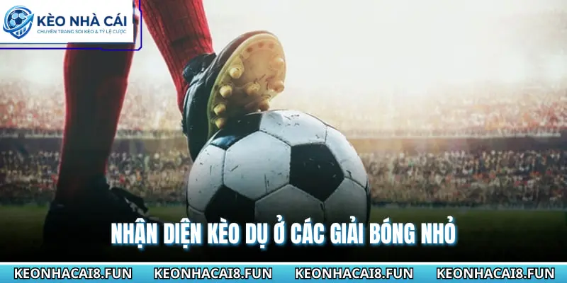 Cách Nhận Biết Kèo Dụ Của Nhà Cái Để Tránh Mất Tiền 2026 2 Nhận diện kèo dụ ở các giải bóng nhỏ