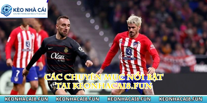 Kèo nhà cái 40 Các chuyên mục nổi bật tại keonhacai